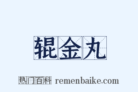 辊金丸是什么意思的图片